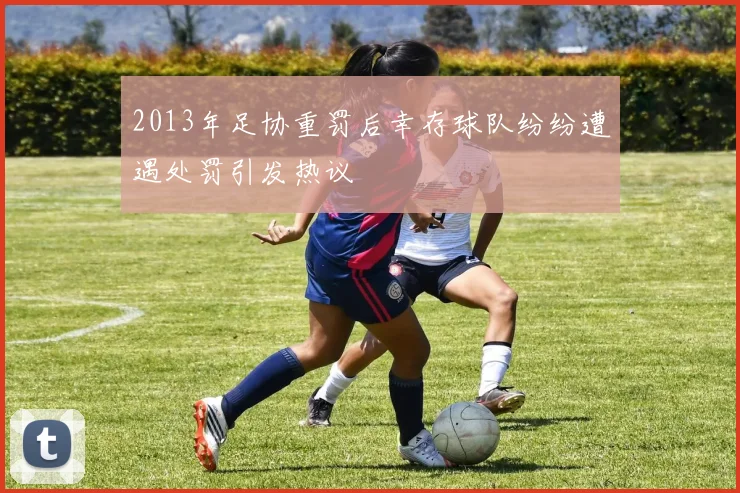 2013年足协重罚后幸存球队纷纷遭遇处罚引发热议